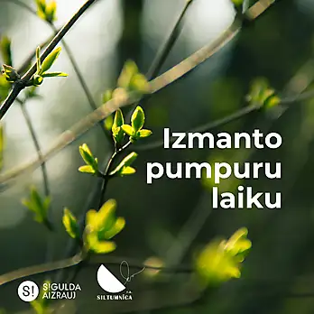 Mūžizglītības nodarbības "Izmanto pumpuru laiku"